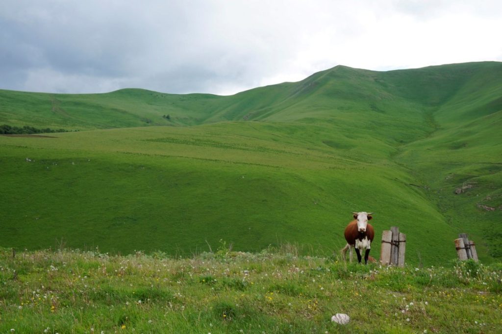 Дорога в Джилы-Су